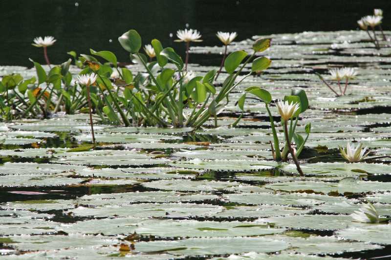 Mexico & Guatemala 2010 - 0953